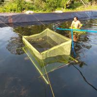 Buy cheap Direct 0.5mm Eco-Friendly HDPE Plastic Geomembrane for Fish Pond Roll Length 50 product