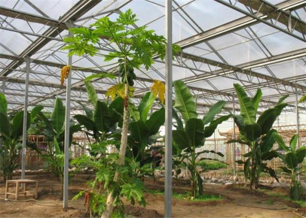 Buy cheap Tomato Planting Ecological Greenhouse Steel Structure Main Frame Long Lifetime from wholesalers