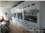 Multifunctional Chemical Fume Hood Equipment Rustproof Practical