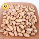 Buy cheap Natural healthy OEM Roasted Salted Soya Bean Snacks Handpicked Vegan Beans from wholesalers