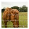 Buy cheap Length 10-200m Agriculture Field Livestock Wire Fence with Durable Fixed Knot Design from wholesalers