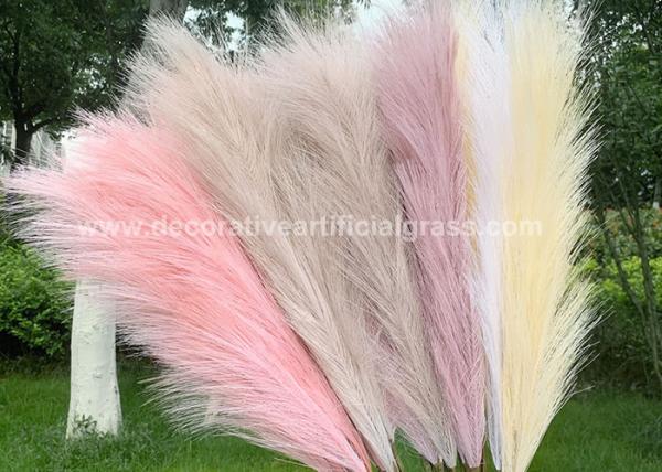 Buy cheap 60cm Preserved Fresh Flowers Home Decor Natural Dried Pampas from wholesalers