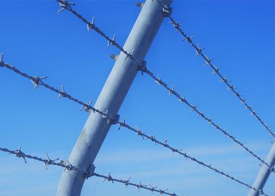 Customized Installation Of Barbed Tape Protection Hot-dip Galvanized Barbed Wire