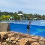 Thick Window Wall Above Ground Acrylic Swimming Pool with High Light Transmissio