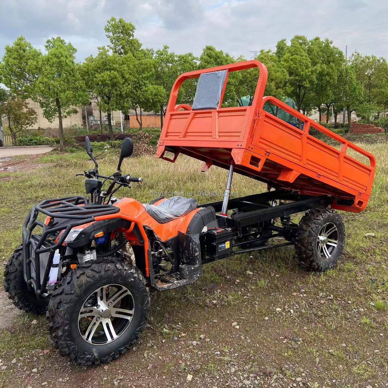 800 1000W 2 Cylinder Water-Cooled ATV 250CC 4X4 Off Road Buggy with Cargo Buckets