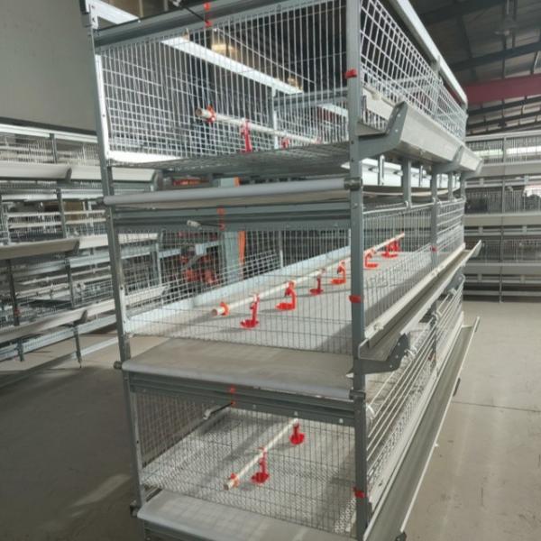 Buy cheap 2150x2300x1600mm 3tire Chicken Farming Cage Wire Material Q235 Bridge Steel from wholesalers
