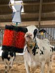 Farm Equipment Cow Brush Auto Cow And Cattle Body Brush For Healthy