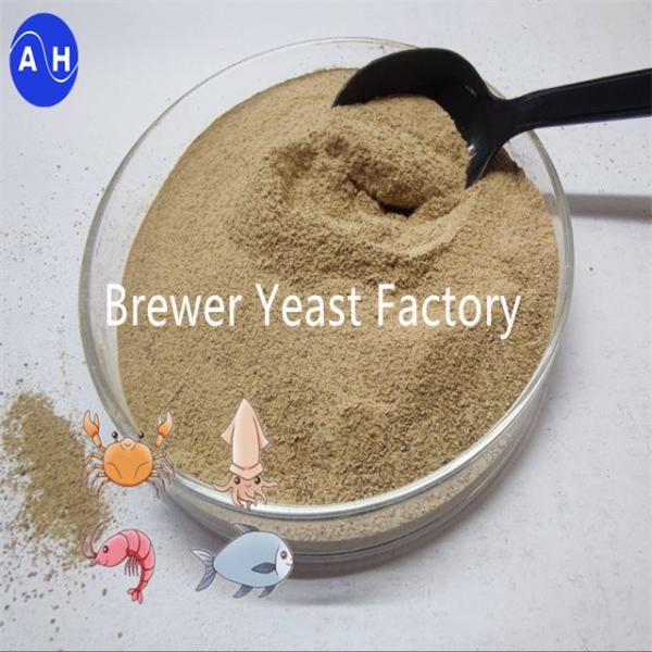 High Activity Dry Yeast For Improved Digestive Health With Saccharomyces