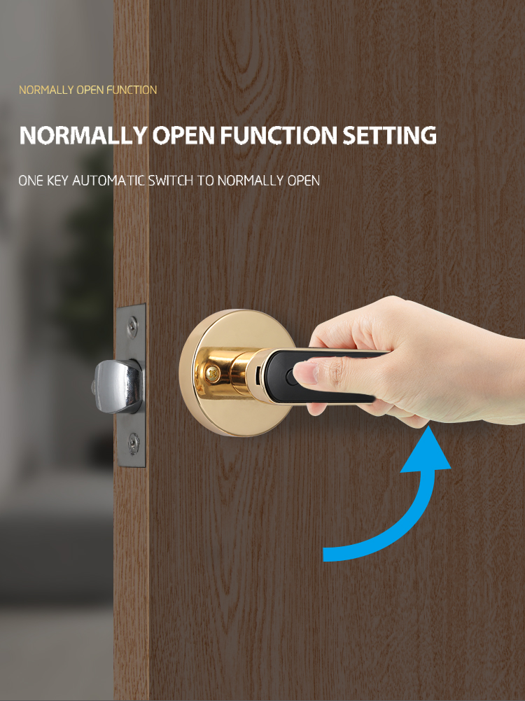 Multifunctional Wifi Smart Door Lock / Keypad Electronic Door Lock With Key