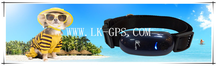 LK100 (1)
