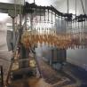 Buy cheap 500BPH Automatic Poultry Slaughtering Equipment Chicken Slaughter Line 304 from wholesalers