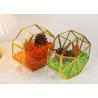Buy cheap Creative golden glass artifact windows display box garden dried flowers green plants succulent plant ornaments from wholesalers