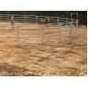 Buy cheap Portable Corral Panels For Cattle Permanent Yards Heavy Duty Cattle Yards from wholesalers