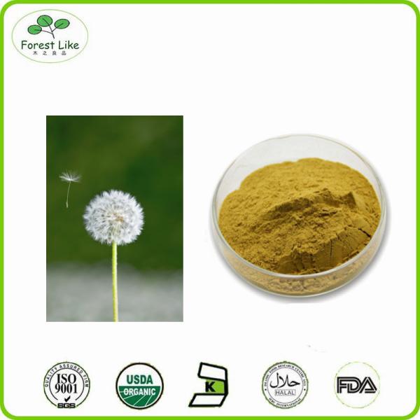 Buy cheap High Quality pure natural Dandelion root powder from wholesalers