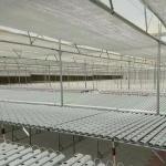 Water Pipe Agricultural Greenhouse Solution with Film Cover and US 20/Square