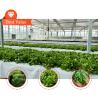 Buy cheap Vegetable Production Agricultural Seeds Strawberry Greenhouses Multi Tunnel from wholesalers