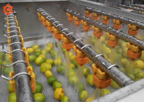 Buy cheap Small Herb Vegetable Processor Machine Fruit Vegetable Cleaner High Pressure Water Flush from wholesalers