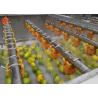 Buy cheap Small Herb Vegetable Processor Machine Fruit Vegetable Cleaner High Pressure Water Flush from wholesalers
