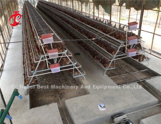 Commercial Broiler Chicken Poultry Meat Battery Cage System Ada