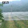 Buy cheap Anti Insect Aphid Drosophila Fruit Fly Protection Net hdpe Mesh Fabric for Garden Vegetable Cover Netting Factory from wholesalers