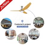 100% Copper DC Motor Modern Plastic Ceiling Fan With Led Light Remote Control