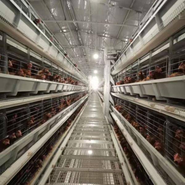 Buy cheap H Type Battery Layer Chicken Cages Automatic Egg Poultry Farms 10 Tiers from wholesalers