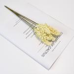 Minimalist Faux Wheat Bouquet Realistic Fake Flowers 5x30cm Plastic