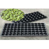 Buy cheap 21 To 225 Cells Plastic Seed Starting Trays Plant Growing Rice Tray product