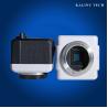 Buy cheap 5MP USB Digital Microscope Camera, Eyepiece Camera from wholesalers