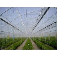 Buy cheap Simple Structure Commercial Hydroponic Greenhouse Gutter Height 2-6m CE Approved product