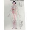 Buy cheap English Acupuncture Wall Chart 7PCS Per Set Human Acupuncture Chart from wholesalers