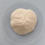 Wholesale Carica Papaya Fruit Juice Powder/Carica Papaya