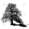 Buy cheap Corten Steel Rusted Lifelike Outdoor Metal Tree Sculpture Decorative from wholesalers