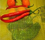 Industrial Agriculture 50x80 cm PP PE Fresh Fruit Onion Sacks Packing Leno Mesh