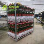 Buy cheap CC Danish Flower Trolley from wholesalers
