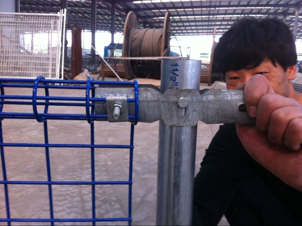 high-quality powder coated double loop wire mesh metal garden fence