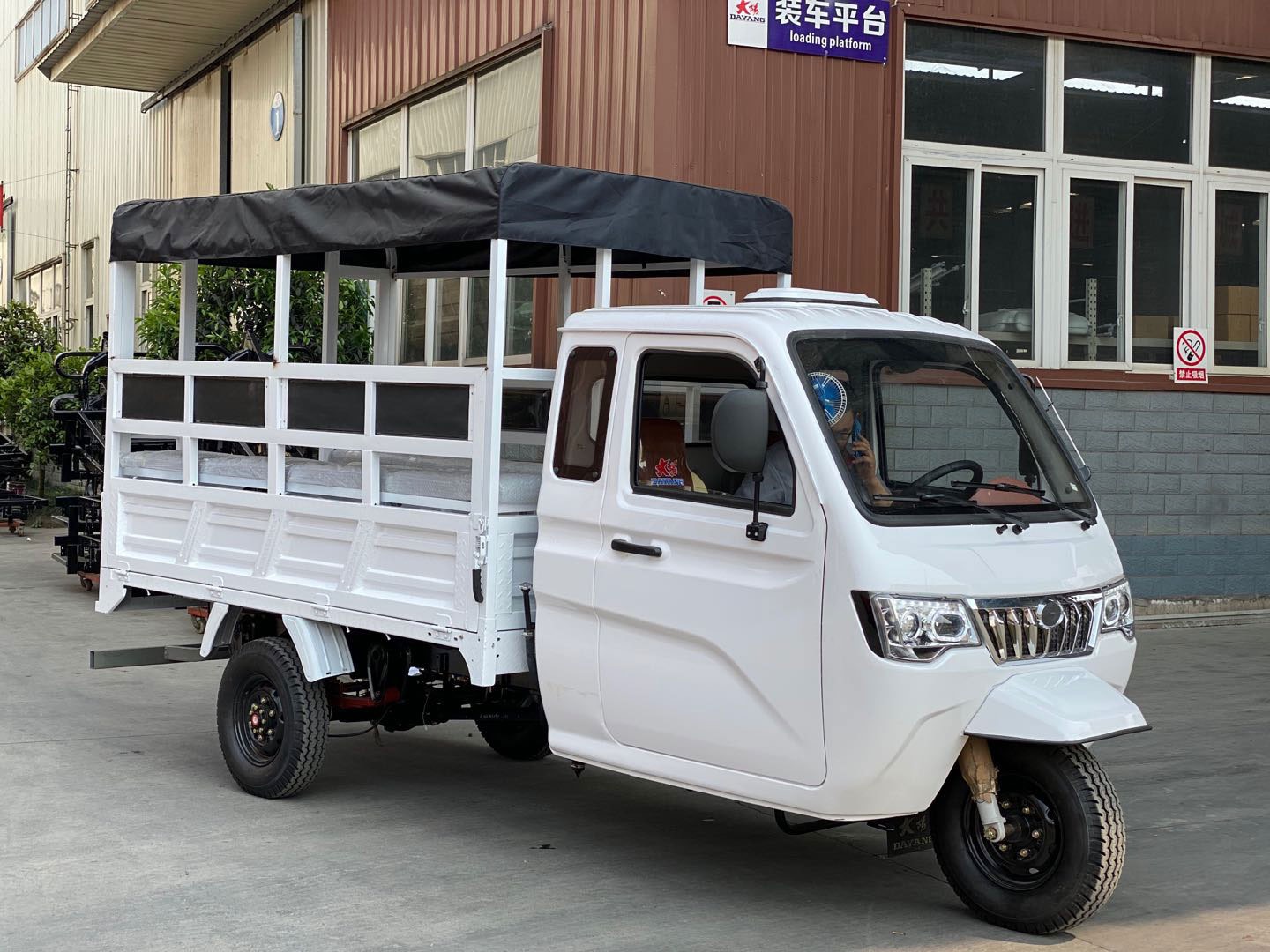 Custom Color Body Overall Frame 800cc Car Engine Motorcycle Tricycle for Adult 3 Wheel