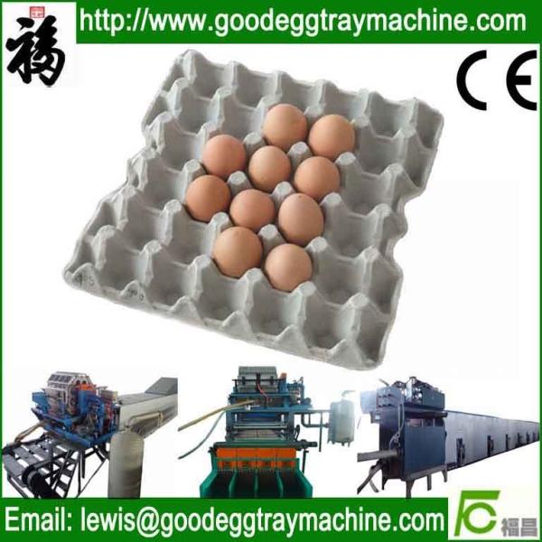 Buy cheap Egg tray plant(FC-ZMG4-32) from wholesalers