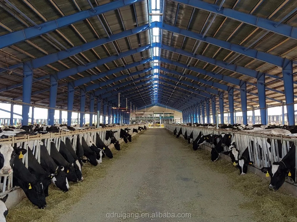 Steel Structural Fabrication Construction Poultry House Shed With Aluminum Alloy Window