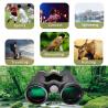 Buy cheap High End ED Glass 10X42 Binoculars Telescope For Professional Optics Lover from wholesalers
