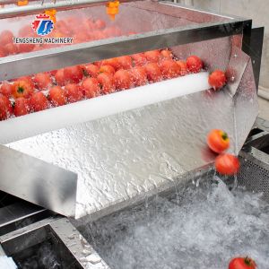 Buy cheap Multifunction Fruit And Vegetable Processing Line Parallel Brush Machine from wholesalers