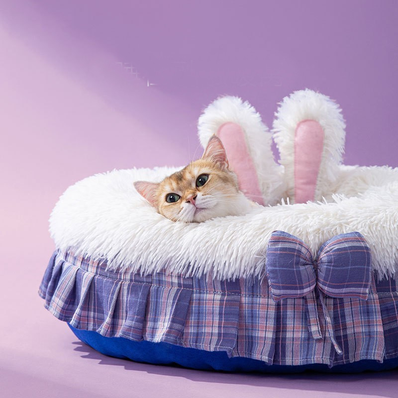 purple cat bed