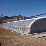 Roofing Shape Arched Roof JX-Arch Green House for Tomato Strawberry Hydroponic