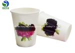 12 Oz Paper Soup Cups Disposable Change Color Single Wall Design FDA Passed