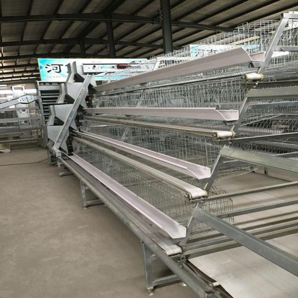 Buy cheap Chicken Farm Use Poultry Cage A Type Big Size 96 birds / set from wholesalers
