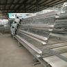 Buy cheap Chicken Farm Use Poultry Cage A Type Big Size 96 birds / set from wholesalers