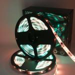 36W IP65 12V 10M Dreamcolor LED Strip Lights