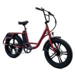 Rear Hub Motor Electric Cargo Bike 24 Inch Fat Tire Cargo Ebike 7 Speed 48V 500W