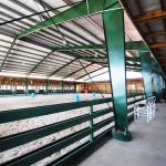 Covered Or Enclosed Pre-Engineered Steel Equestrian Arenas Metal Equestrian
