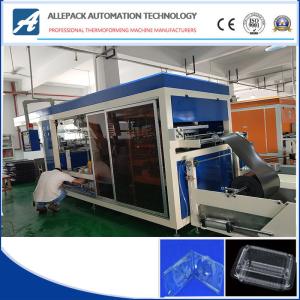 China Full Automatic Driving Plastic Thermoforming Machinee For Fruit Clamshell Box on sale
